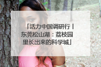 活力中国调研行丨东莞松山湖：荔枝园里长出来的科学城
