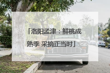 洛阳孟津：鲜桃成熟季 采摘正当时