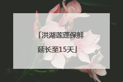 洪湖莲蓬保鲜延长至15天