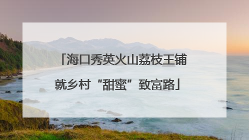 海口秀英火山荔枝王铺就乡村“甜蜜”致富路
