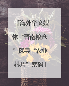 海外华文媒体“晋南粮仓”探寻“农业芯片”密码