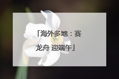 海外多地：赛龙舟 迎端午
