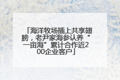 海洋牧场插上共享翅膀，老尹家海参认养“一亩海”累计合作近200企业客户