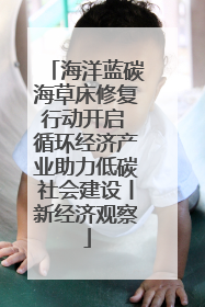 海洋蓝碳海草床修复行动开启 循环经济产业助力低碳社会建设丨新经济观察