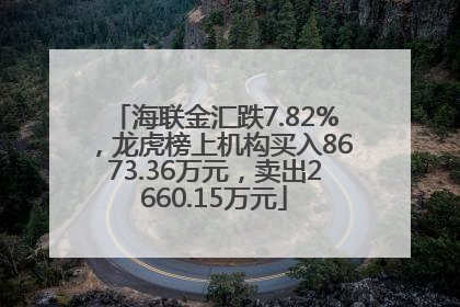 海联金汇跌7.82%，龙虎榜上机构买入8673.36万元，卖出2660.15万元