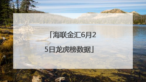 海联金汇6月25日龙虎榜数据