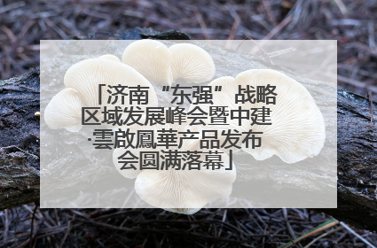 济南“东强”战略区域发展峰会暨中建·雲啟鳳華产品发布会圆满落幕