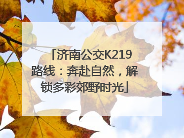 济南公交K219路线：奔赴自然，解锁多彩郊野时光
