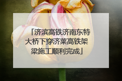 济滨高铁济南东特大桥下穿济莱高铁架梁施工顺利完成