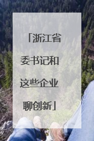浙江省委书记和这些企业聊创新