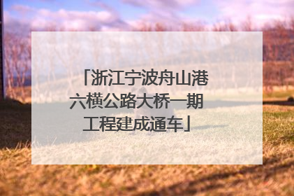 浙江宁波舟山港六横公路大桥一期工程建成通车