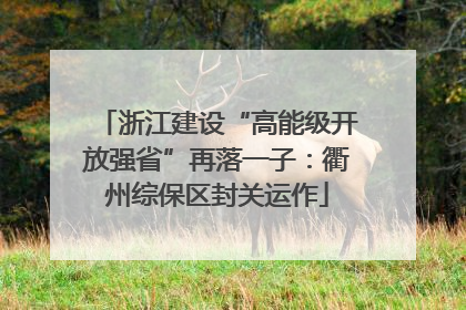 浙江建设“高能级开放强省”再落一子：衢州综保区封关运作