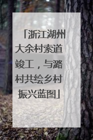浙江湖州大余村索道竣工，与潞村共绘乡村振兴蓝图