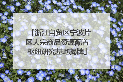 浙江自贸区宁波片区大宗商品资源配置枢纽研究基地揭牌