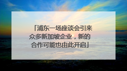 浦东一场座谈会引来众多新加坡企业,新的合作可能也由此开启