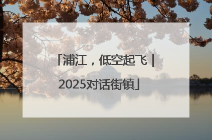 浦江，低空起飞｜2025对话街镇