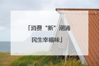 消费“新”潮涌 民生幸福味