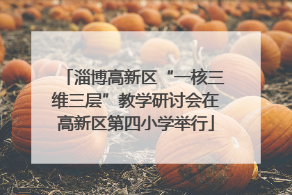 淄博高新区“一核三维三层”教学研讨会在高新区第四小学举行