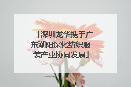 深圳龙华携手广东潮阳深化纺织服装产业协同发展