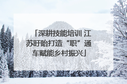 深耕技能培训 江苏盱眙打造“职”通车赋能乡村振兴