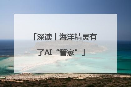 深读丨海洋精灵有了AI“管家”