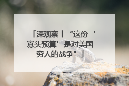 深观察丨“这份‘寡头预算’是对美国穷人的战争”