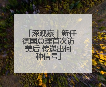 深观察丨新任德国总理首次访美后 传递出何种信号