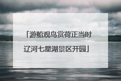 游船观鸟赏荷正当时 辽河七星湖景区开园