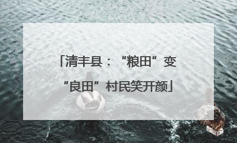 清丰县：“粮田”变“良田”村民笑开颜