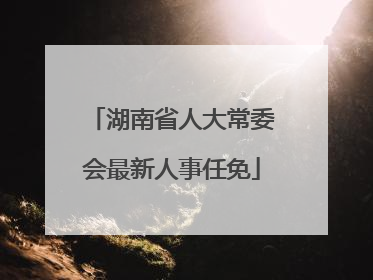 湖南省人大常委会最新人事任免