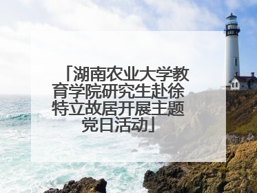 湖南农业大学教育学院研究生赴徐特立故居开展主题党日活动