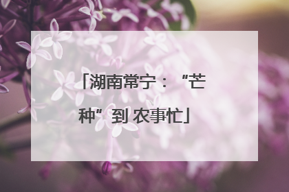 湖南常宁：“芒种”到 农事忙
