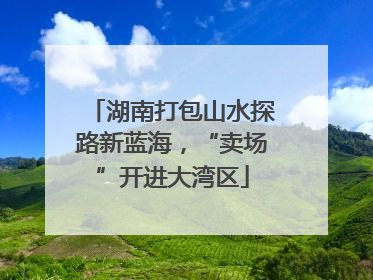 湖南打包山水探路新蓝海，“卖场”开进大湾区