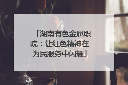 湖南有色金属职院：让红色精神在为民服务中闪耀