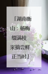 湖南衡山：杨梅缀满枝 采摘尝鲜正当时