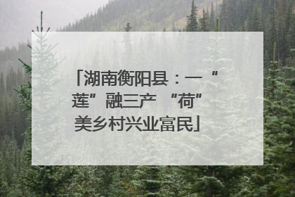 湖南衡阳县：一“莲”融三产 “荷”美乡村兴业富民
