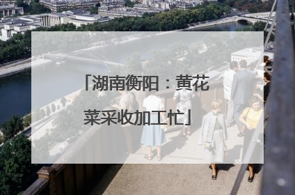 湖南衡阳：黄花菜采收加工忙