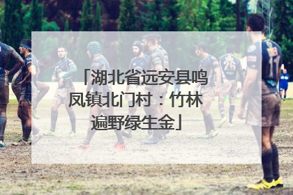 湖北省远安县鸣凤镇北门村：竹林遍野绿生金