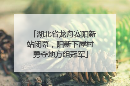 湖北省龙舟赛阳新站闭幕，阳新下屋村勇夺地方组冠军