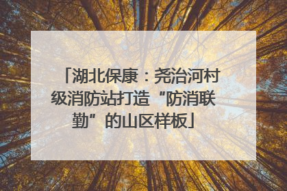 湖北保康：尧治河村级消防站打造“防消联勤”的山区样板