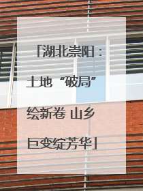 湖北崇阳：土地“破局”绘新卷 山乡巨变绽芳华