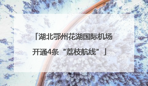湖北鄂州花湖国际机场开通4条“荔枝航线”