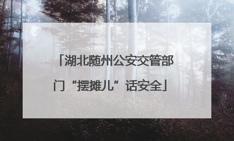 湖北随州公安交管部门“摆摊儿”话安全