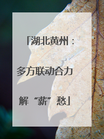 湖北黄州：多方联动合力解“薪”愁