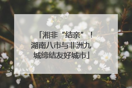 湘非“结亲”！湖南八市与非洲九城缔结友好城市