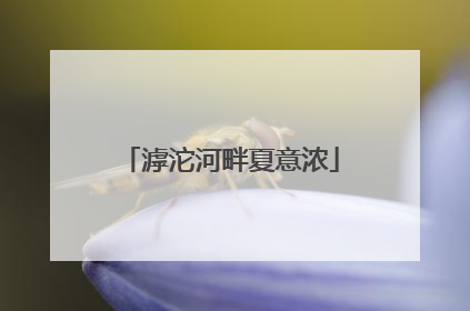 滹沱河畔夏意浓