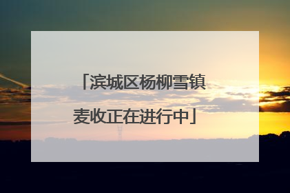 滨城区杨柳雪镇麦收正在进行中