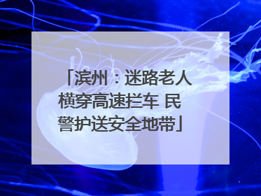 滨州：迷路老人横穿高速拦车 民警护送安全地带