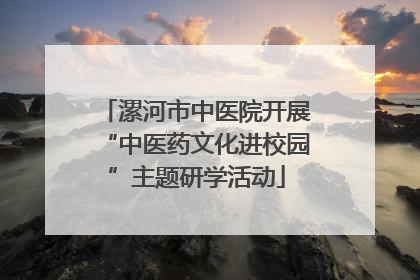 漯河市中医院开展“中医药文化进校园”主题研学活动