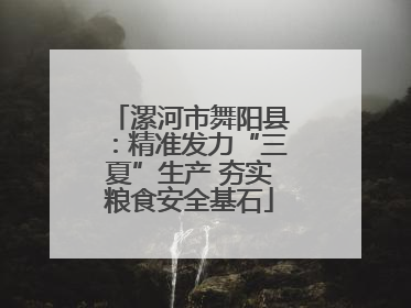 漯河市舞阳县：精准发力“三夏”生产 夯实粮食安全基石
